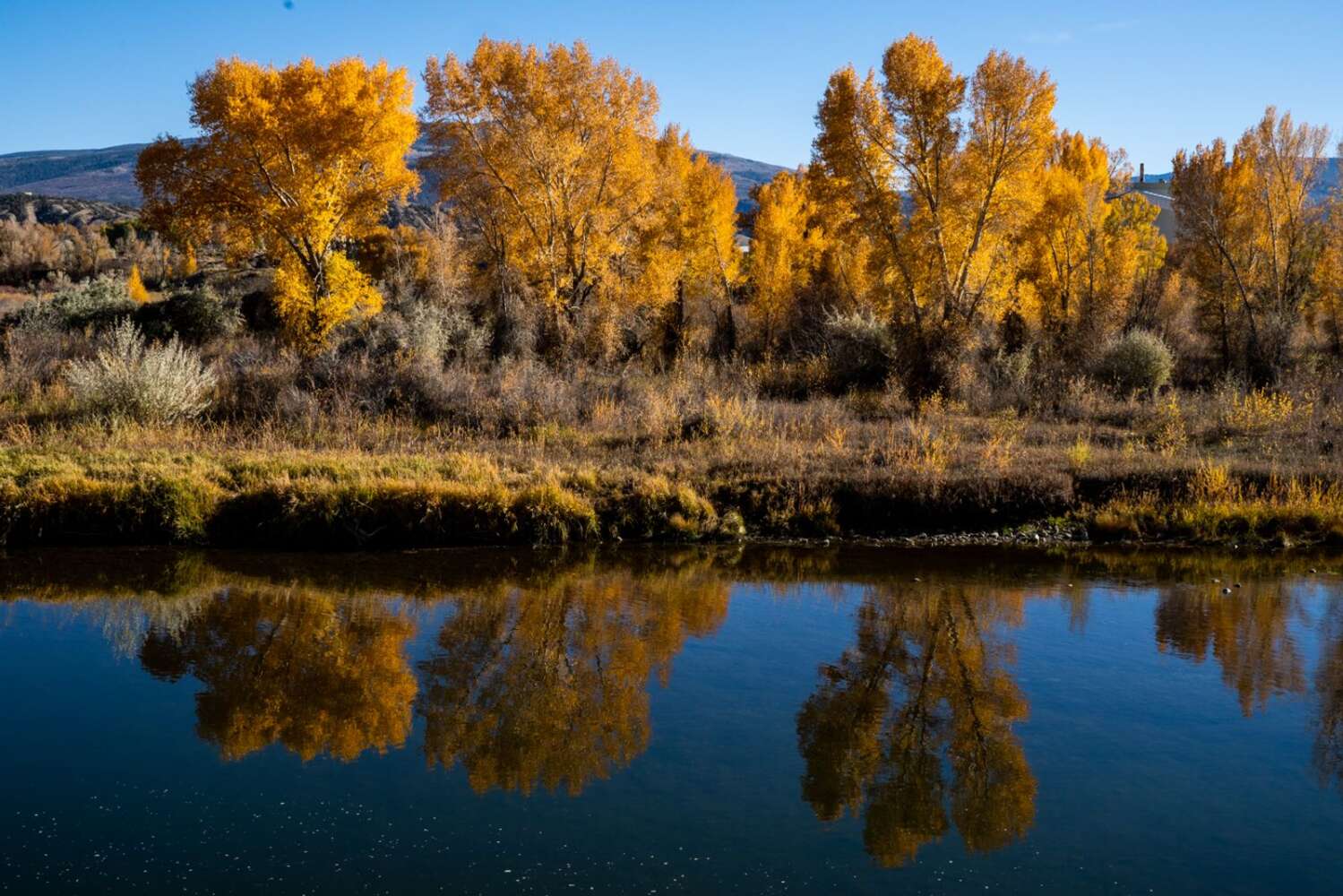 It’s leaf-peeping season: Here’s where to find fall colors in Colorado ...