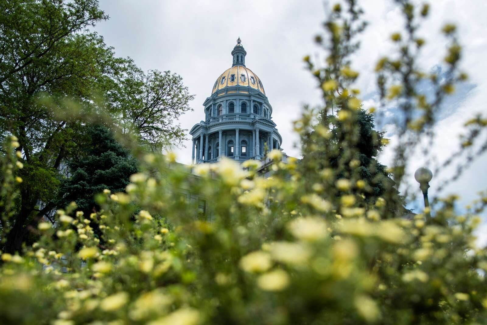 Colorado Taxpayer Refund