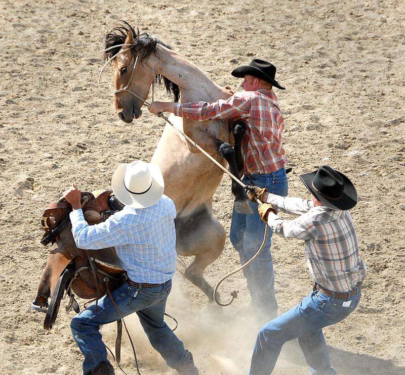 Ranch Rodeo set to highlight this year’s Montezuma County Fair The