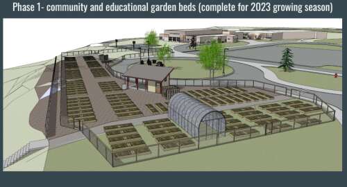 Durango School District works to build community garden - Vimarsana News