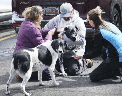 Free vet clinic supports unhoused pet owners