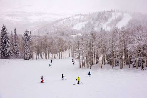 Fort Lewis College suddenly pulls plug on rare skiing injury database - Vimarsana News