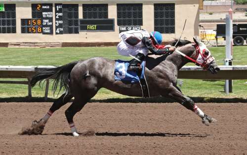 Shafer earns role as fastest qualifier for Mountain Top Futurity at Albuquerque Downs