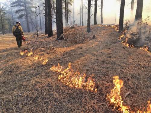 New Mexico enacts sweeping statewide fire restrictions to prevent wildfires
