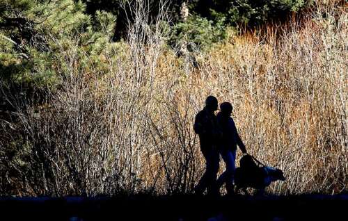 Durango sets $25 fine for dog owners who fail to pick up after their pets