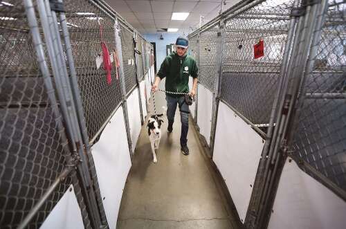 La Plata County Humane Society celebrates 50 years - Vimarsana News
