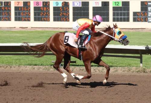 Haywire scores strong win in $75,000 Rio Grande Senorita