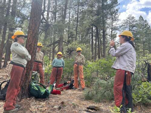Southwest Conservation Corps launches adult day crew program in Montezuma County