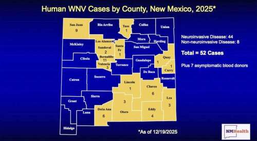 New Mexico health officials warn of mosquito-borne illness after West Nile detection