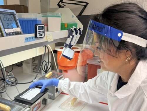 New Mexico health officials report decline in syphilis and other sexually transmitted diseases