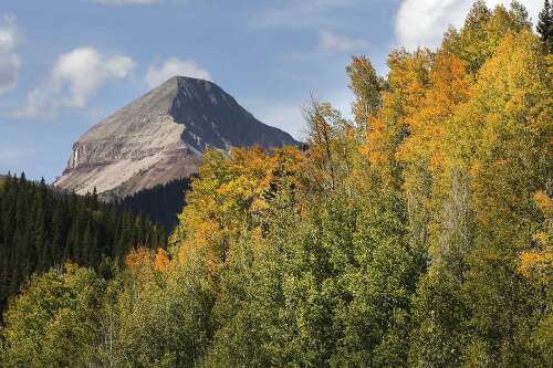 Why climate change is making it harder to chase fall foliage - The Durango Herald