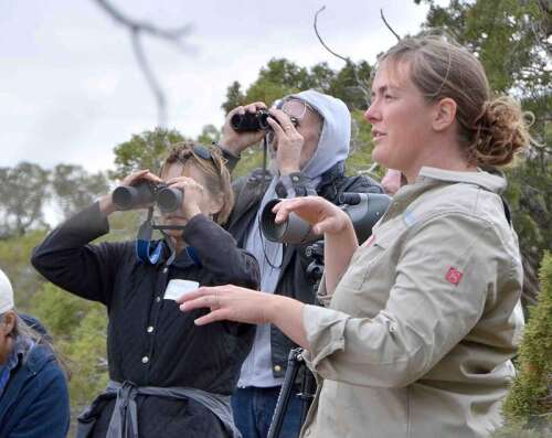 Tri Cities Events Calendar: Things to do in Northern New Mexico The