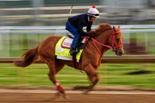 Kentucky Derby is down to 19 horses after The Puma gets scratched