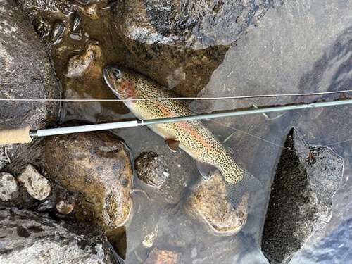 R&R: Release and respect your fish