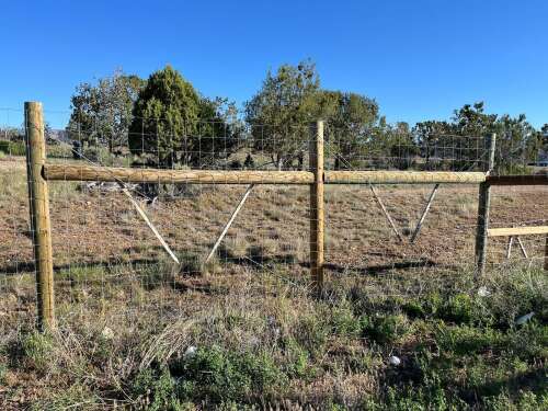 Fences Part II: Do deer fences also make good neighbors?