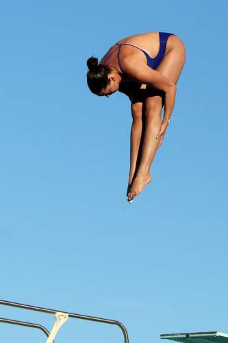 Epstein dives to a pair of conference titles - Vimarsana News