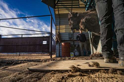 Sunflower Theatre to host screenings of conservation documentary ‘Preserved’