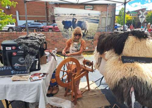 Farmers Market: Mesa Lamb & Wool sells both meat and fiber