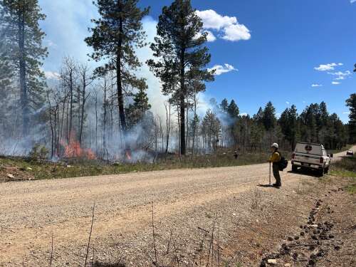 Crews hope to expand wildfire near Dolores to 4,000 acres - Vimarsana News