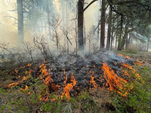 Wildfire smoke prompts air quality alert for much of Southwest Colorado - Vimarsana News