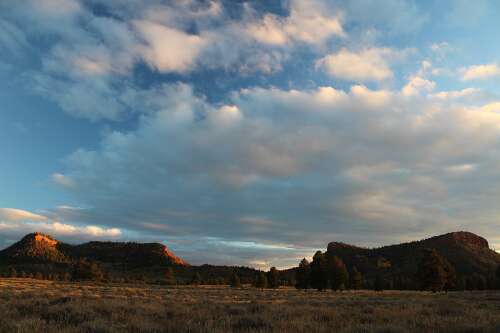 The Bears Ears shuffle - Vimarsana News