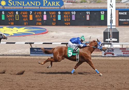 Bridger heads busy day of trials for Mountain Top New Mexico-bred Quarter Horse Futurity
