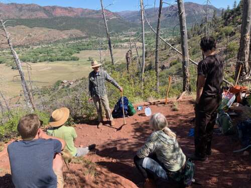 300 trees planted near Haflin Creek Trail north of Durango are at risk of dying - Vimarsana News
