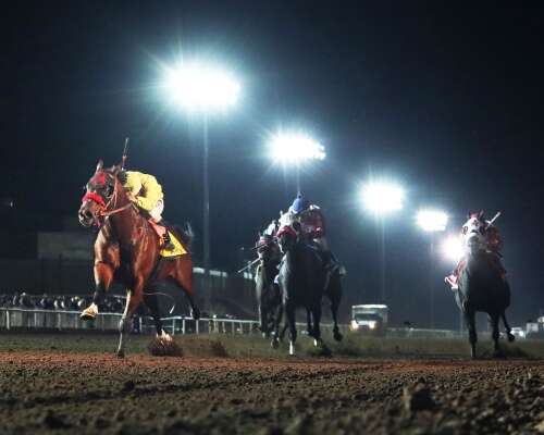 Thoroughbred racing returns to New Mexico as Albuquerque Downs opens doors next week