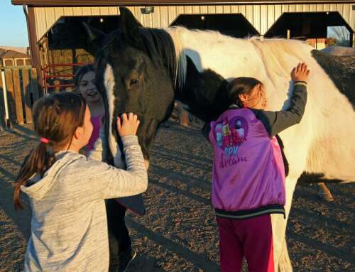 Tri Cities Events Calendar: Things to do in northern New Mexico The