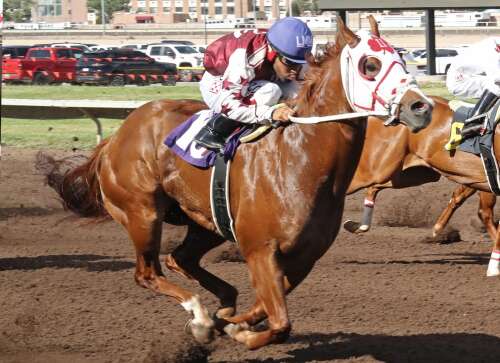Jm Famous Wynn pulls clear late in Vista Distaff Stakes
