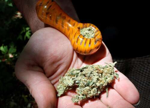 Ignacio voters expected to decide whether to allow marijuana sales in town - Vimarsana News