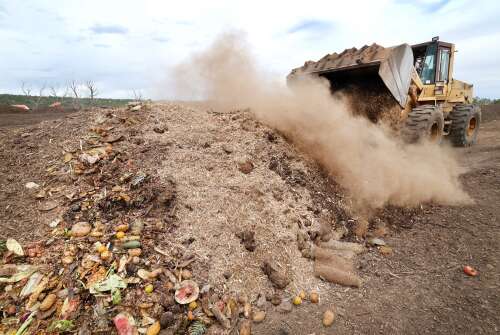 Mandatory composting in Durango? City Council will decide this fall