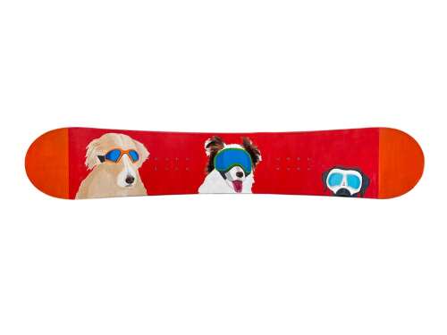 La Plata County Humane Society to host snowboard art auction - Vimarsana News