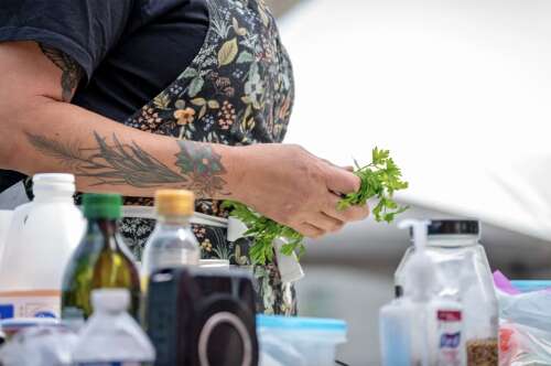 Ho-Chunk chef promotes healing through traditional diets at Milwaukee Indian Health Center fair