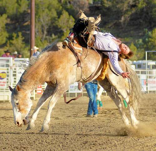 Ute Mountain Roundup Rodeo coming to Montezuma County Fairgrounds - The ...
