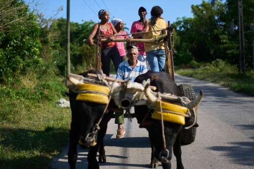 US energy blockade leaves Cuban farmers struggling to feed a nation ...