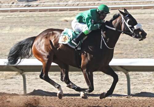 Full fields and top stars line up for opening day at SunRay Park