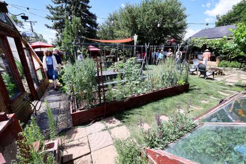 Photos: Yards of beauty