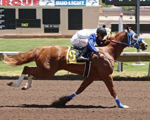 Ruidoso Futurity headlines rich weekend at Albuquerque Downs