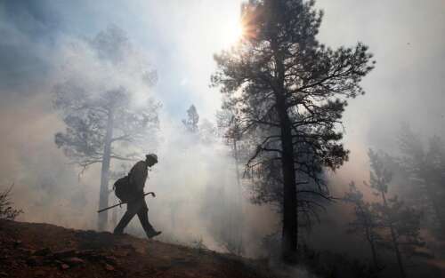 Rep. Lauren Boebert criticizes Forest Service chief for pausing prescribed burns - Vimarsana News