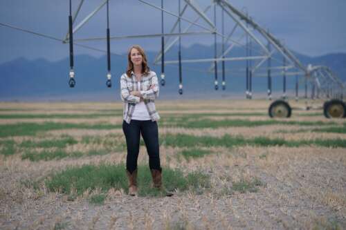 A San Luis Valley farm stops growing food to save a shrinking water supply - Vimarsana News