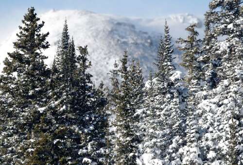 Skier dies while attempting to jump over Berthoud Pass near Winter Park - Vimarsana News