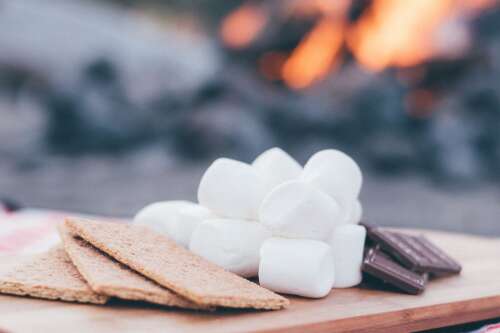 Fossey’s Farm será el anfitrión de un evento de siembra y S’mores en español – The Journal