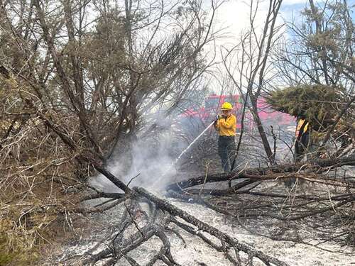 Mesa Verde fire nearly under control; lightning sparks other fires – The Durango Herald - Vimarsana News