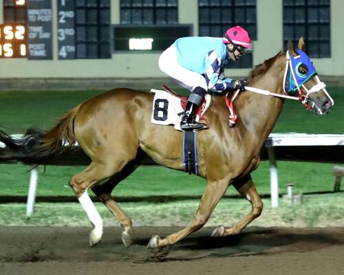 Statebreds capture trio of prestigious stakes races over weekend at Albuquerque Downs