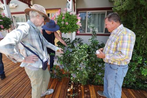 ‘It feeds my soul’: Durango green thumbs show off water-wise landscapes in Gardens on Tour