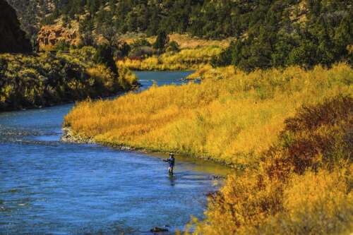 Upper Basin states layout plan to help the Colorado River, but say Lower Basin needs to chip in more - Vimarsana News