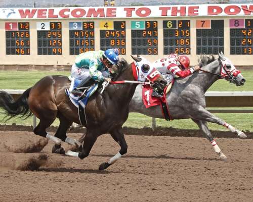 Luxurie sets fastest time in Zia Quarter Horse Derby trials