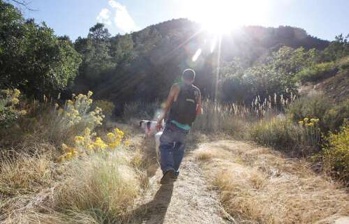 La Plata County agrees to buy four properties for managed camp - Vimarsana News