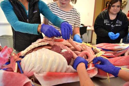 Credit Union of Colorado Foundation invests $50,000 in community college scholarships